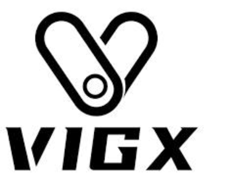 Logo Vigx